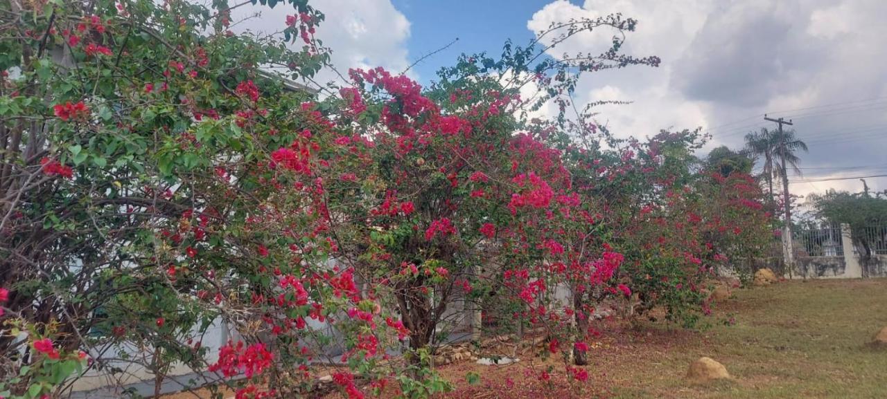 Villa De Assis Suites Alto Paraíso de Goiás المظهر الخارجي الصورة